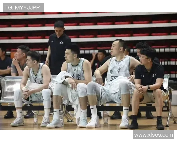 辽宁队狂胜34分外线火力全开赵继伟末节未登场展现团队实力