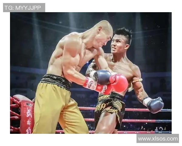 播求与一龙再度交锋二番战揭幕谁将赢得这场巅峰对决的荣耀